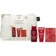 APIVITA Promo Beevine Elixir Routine Activerend Serum voor Versteviging &amp; Lifting 30ml &amp; Geschenk Anti Rimpel Crème voor Versteviging &amp; Lifting Lichte Textuur 15ml &amp; Geschenk Anti Rimpel Crème voor Ogen &amp; Lippen 1,5ml