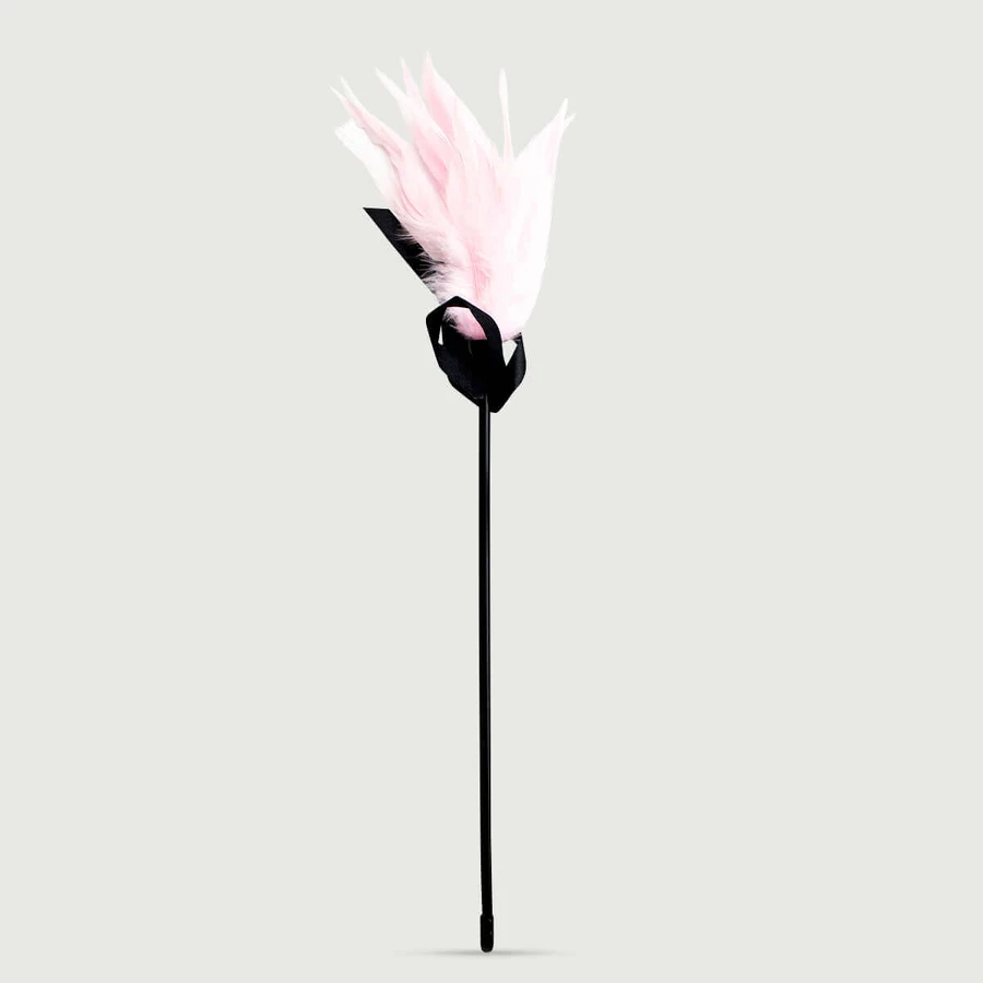 Pluma larga Tease Series Cinta Tacto Cosquillas Con Lazo De Raso - Rosa