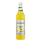 Monin Lemonade Mix Concentrato di limonata 1 l (data di scadenza ...