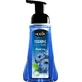HUGVA Mousse lavante pour les mains aux myrtilles 500 ml.