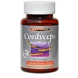 Cordyceps 60 cápsulas