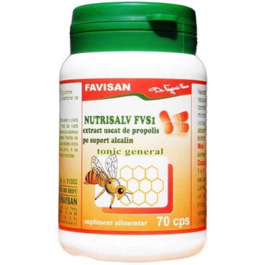 Nutrisalv FVS1, 70 cápsulas, Favisan