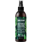 BARWA Odżywka pokrzywa 250 ml