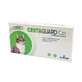 Cestaguard Katze 1 Tablette