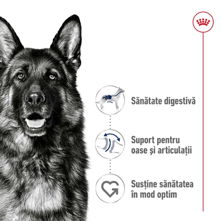 ROYAL CANIN Maxi Adult, hrană uscată câini, 3kg