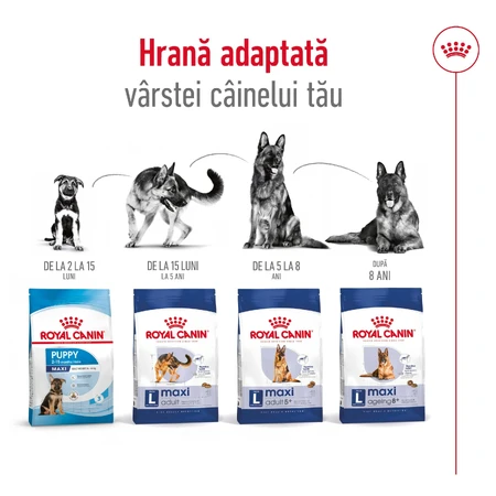 ROYAL CANIN Maxi Adult, hrană uscată câini, 3kg