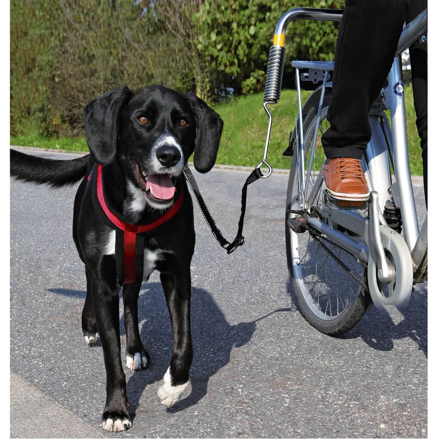 Ensemble de vélos de luxe Trixie