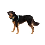RUFFWEAR Front Rage Spring Mountains, dubbel harnas (borst&rug) hondentraining, verstelbaar, reflecterend, groen en oranje, XS(33-43cm)