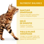 OPTIMEAL, Pollo, cibo secco per gatti, 1,5 kg