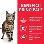 Hill's SP Feline Adult Chicken, 3 Kg
