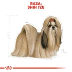 ROYAL CANIN Shih Tzu Adult, sucha karma dla psów, 3kg: ceny i cechy