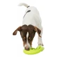 Trixie, dog snake reward toy, with sound, thermoplastic rubber, 18cm, multicolor