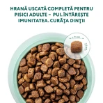 OPTIMEAL, Kurczak, sucha karma dla kotów, 700g: ceny i cechy