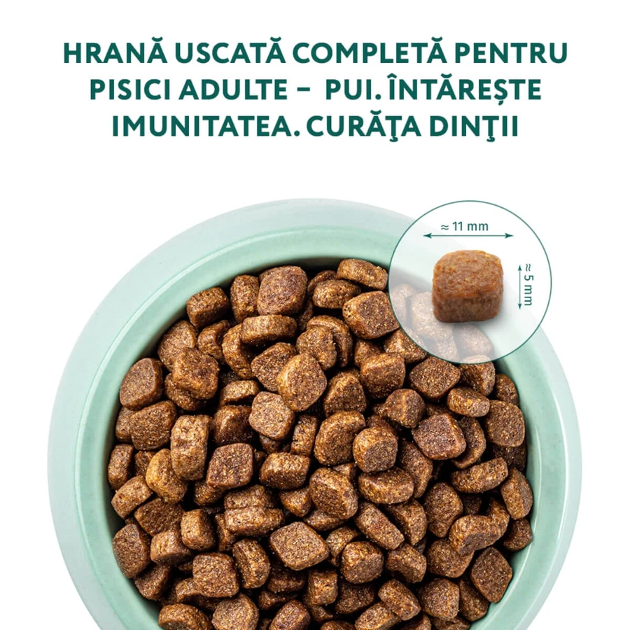 OPTIMEAL, Kurczak, sucha karma dla kotów, 700g: ceny i cechy