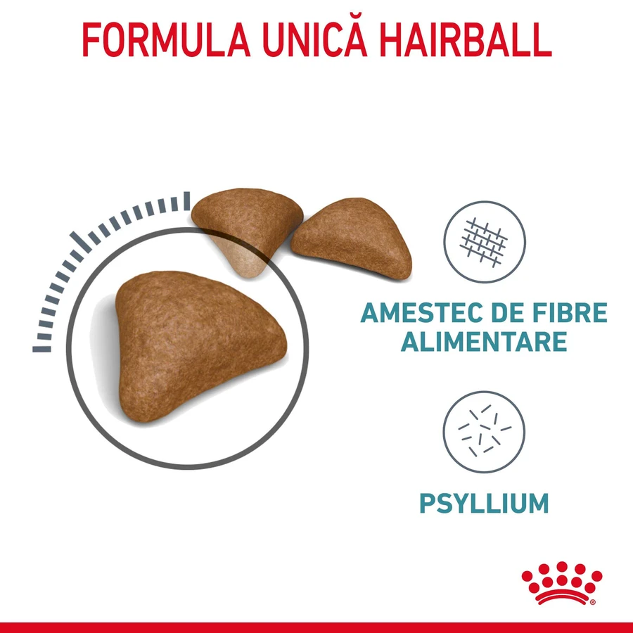 ROYAL CANIN Hairball Care Adult, cibo secco per gatti, controllo delle palle di pelo, 2kg