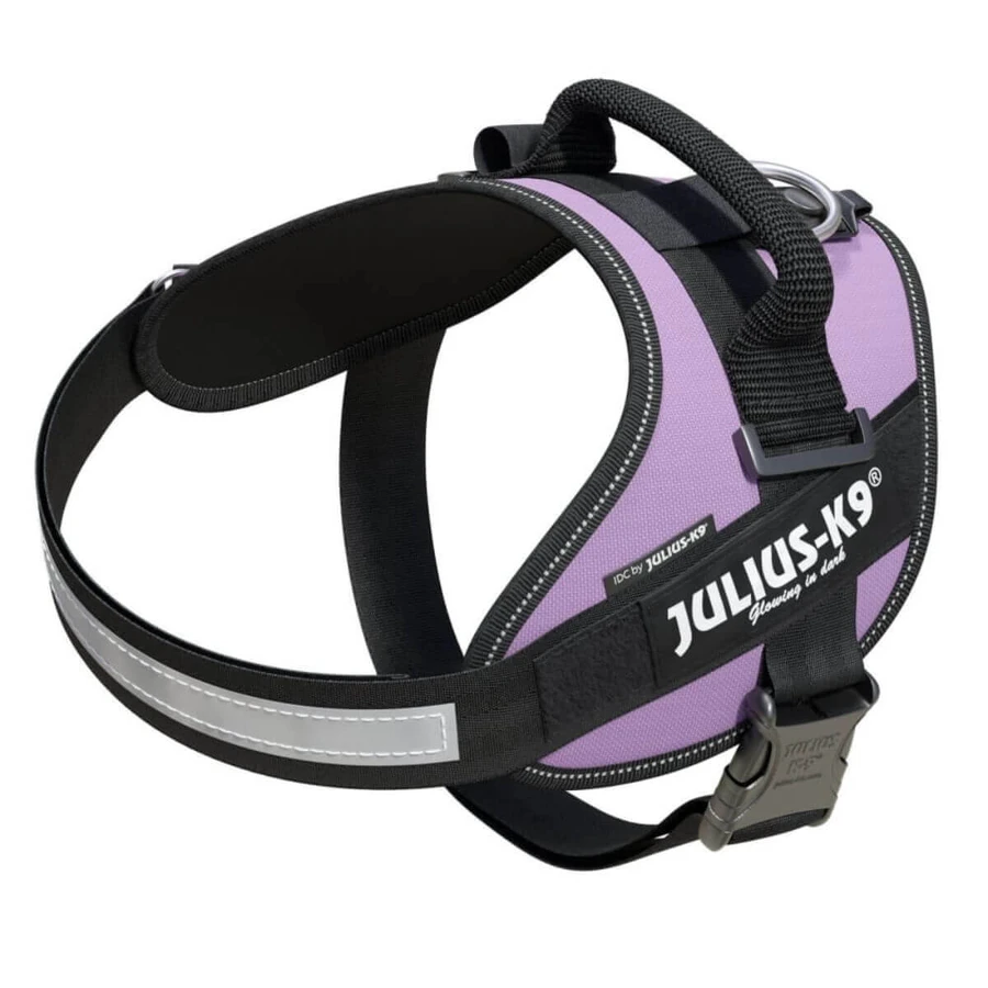 JULIUS-K9 IDC Power, imbracatura per cani, M, 14-25kg, viola