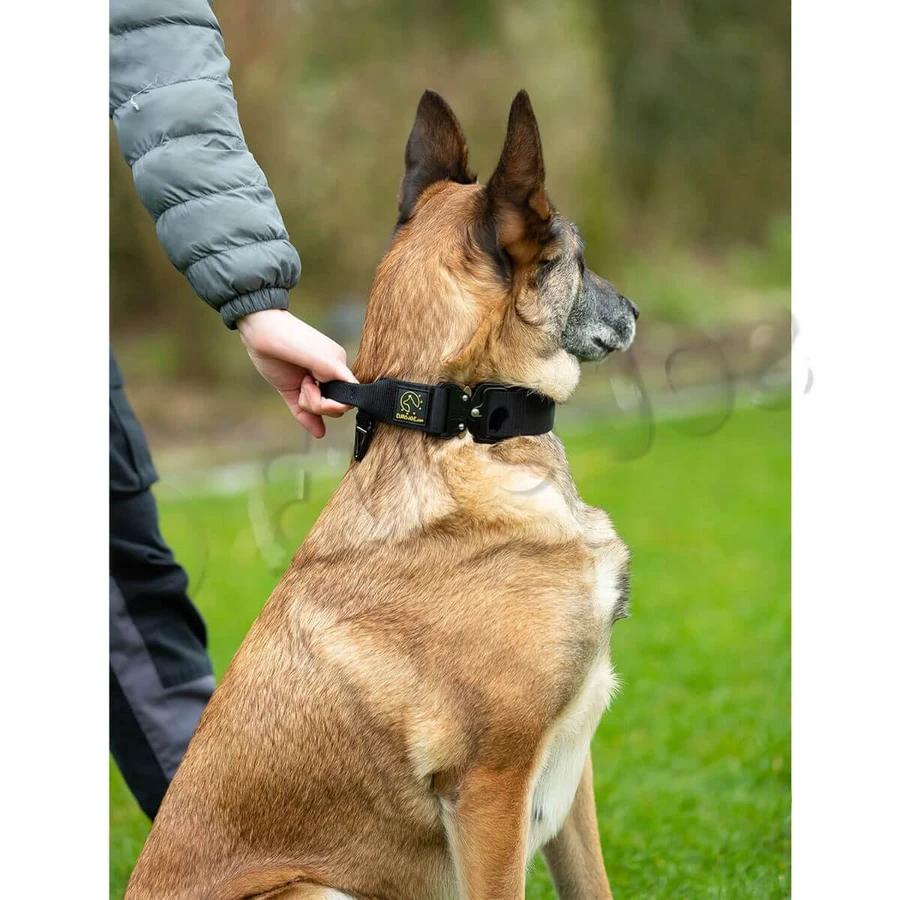 EURO JOE Tactical TC2+, collier pour chien, poignée de contrôle, nylon, noir, boucle Cobra, XL(25-53 x 3.8cm)
