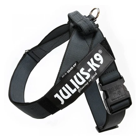 JULIUS-K9 IDC Color & Gris IDC, arnés arnés para perros, 2XL, 40-70kg, negro