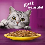 WHISKAS Selections drób, kurczak i indyk, saszetka mokra karma dla kota, (w sosie), opakowanie zbiorcze, 85g x 4: ceny i cechy