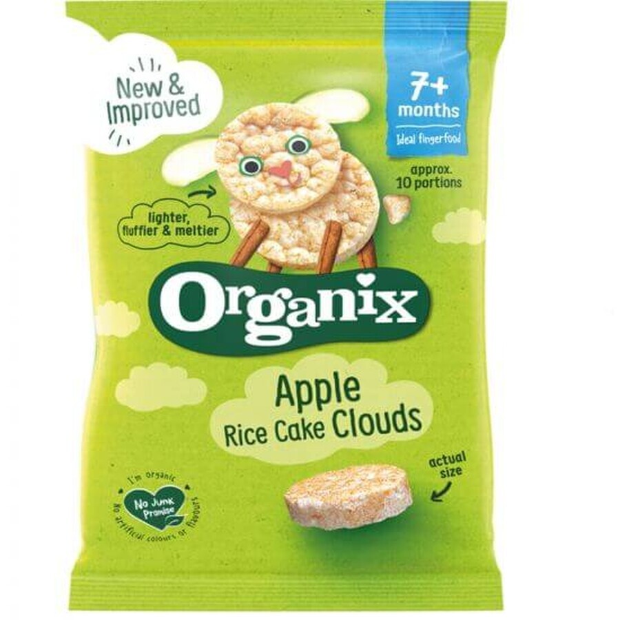 Redondo de arroz ecológico con manzanas, +7 meses, 40 g, Organix