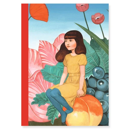 Set de 2 cuadernos Fedora, Djeco