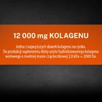 Salvitis Collagen Flex 12000 kit, liquide, 30 ml x 30 pcs.