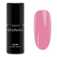 NeoNail Blooming Dreams, Stellar Pink Hybrid-Lack, 7,2 ml