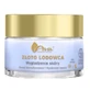 Ava Glacier Gold, gezichtscrème, actieve regeneratie, 50 ml
