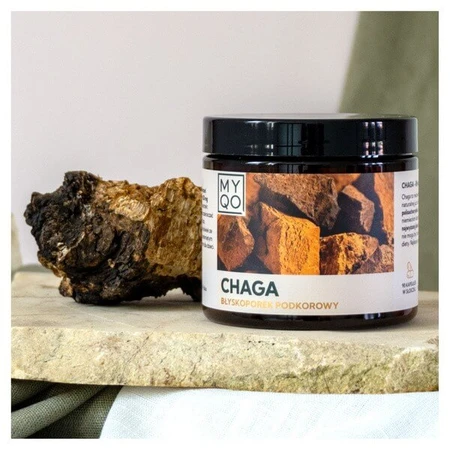 MYQO Chaga Chaga subcortical glossophore, capsules, 90 pcs.