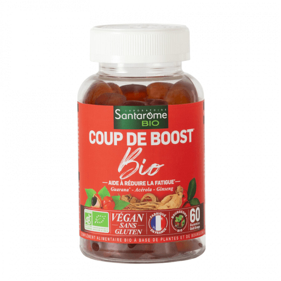 Coup de Boost Bio, 60 gominolas, Santarome