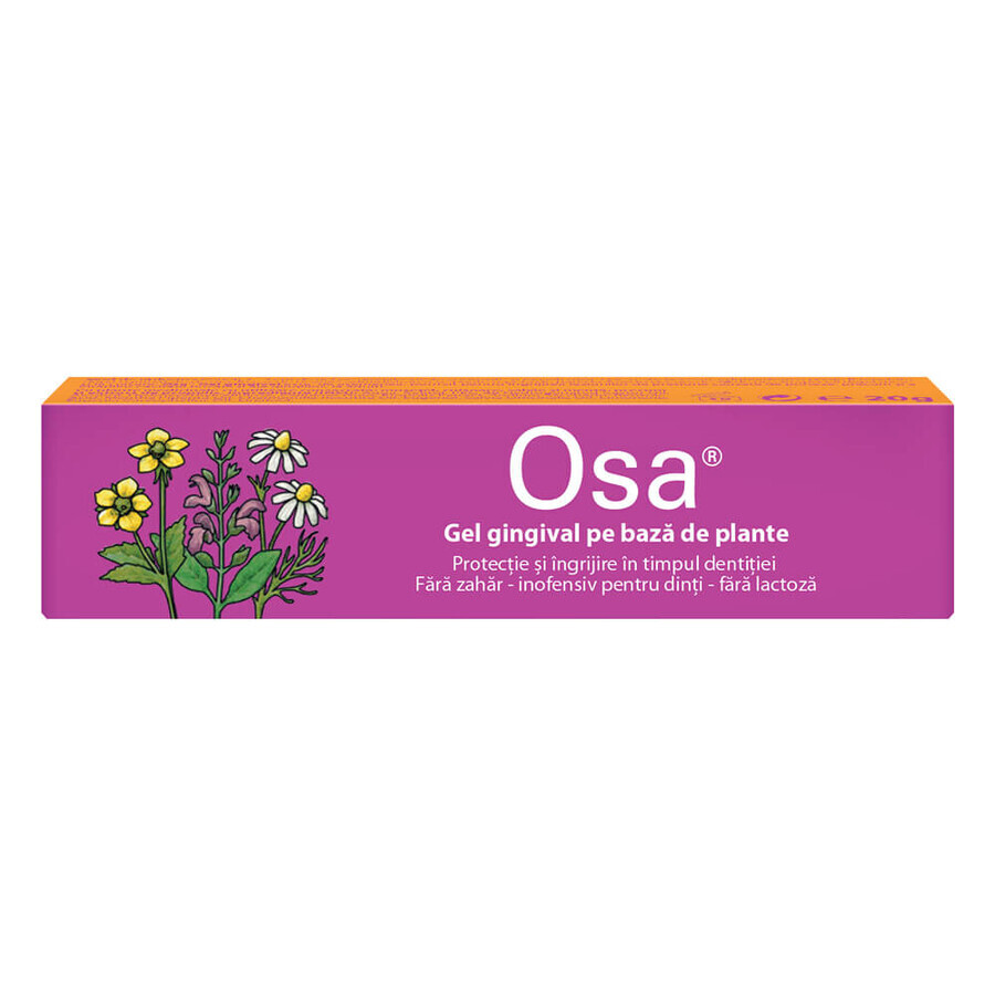 Osa gel gengivale alle erbe, 20 g, Dr. A. & L. Schmidgall