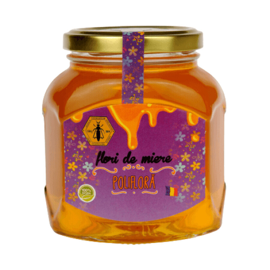 Miel polyfloral, 500 g, Institut de l'apiculture