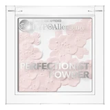 Bell Hypoallergenic Perfectionist Powder, beauty powder, 02, 8 g