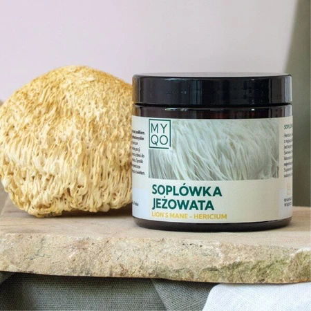 MYQO coneflower - Coamă de leu - Hericium, capsule, 90 buc.