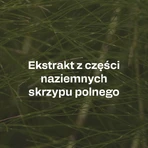 OstroVit Pharma Perspicare, Kapseln, 90 Stk.