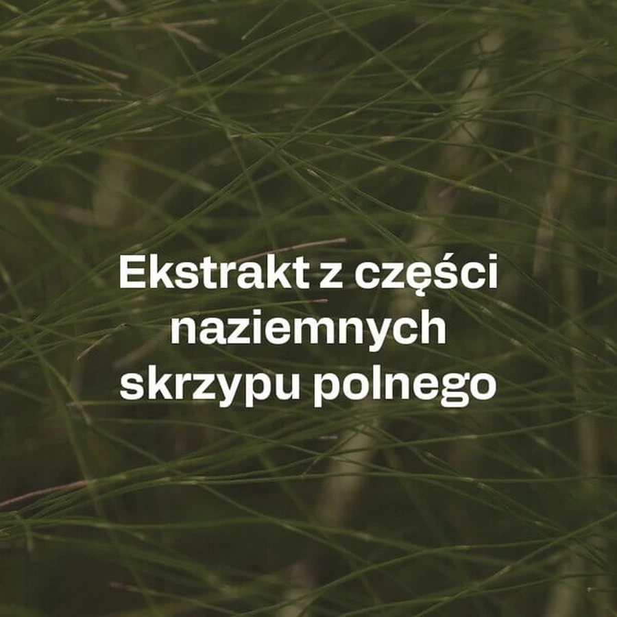 OstroVit Pharma Perspicare, Kapseln, 90 Stk.