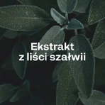 OstroVit Pharma Perspicare, Kapseln, 90 Stk.