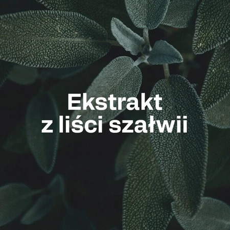 OstroVit Pharma Perspicare, Kapseln, 90 Stk.