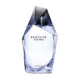 Avon, Perceive voor mannen, eau de parfum voor hem, 100 ml