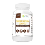 Wish Healthy Liver Complex, cápsulas duras, 60 uds.