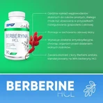 Juego de 2x SFD Berberine HCl, comprimidos, 90 uds.