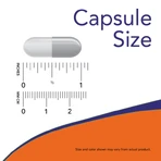 Now Foods AlphaSorb-C 500 mg, capsule, 180 pezzi.