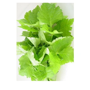 Perilla Bladeren Gesneden Kruidenthee 100 Gr