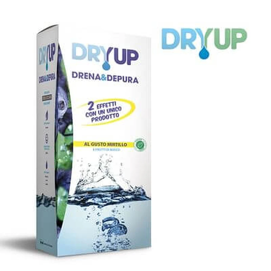 Dryup Arándano 300 Ml