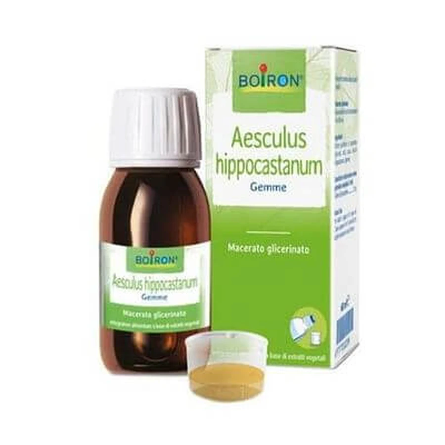 Aesculus Hippocas 100 Ml Macerat gliceric