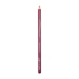 Wet n Wild lipliner pencil coloricon E666 brandy wine