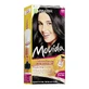 Garnier Movida Creme Färbung Shampoo, 50 Pflaume