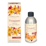 FRANGIPANI FRAGR WOODS RIC