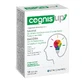 Cognis Up 10 saszetek