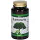 Laminaria 90 Capsule 600 Mg